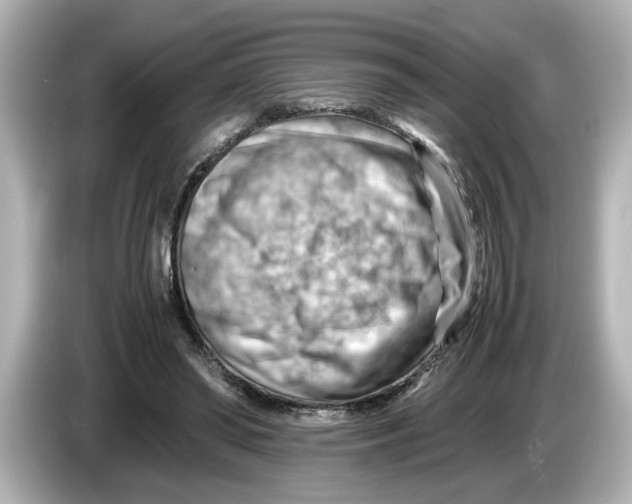 X0000085750398200704091320