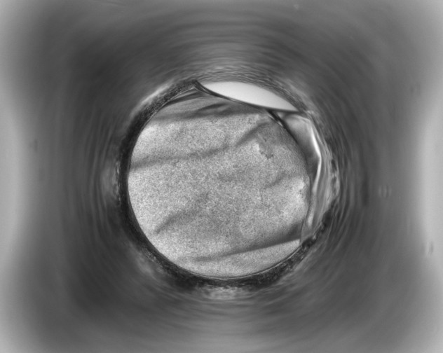 X0000085750400200704091320