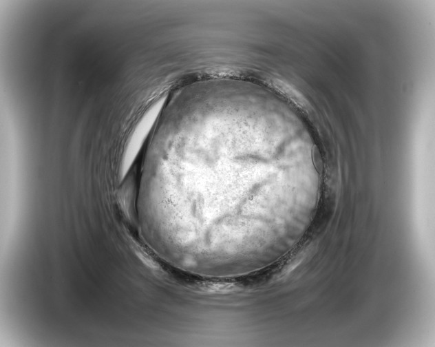 X0000085750401200704091319