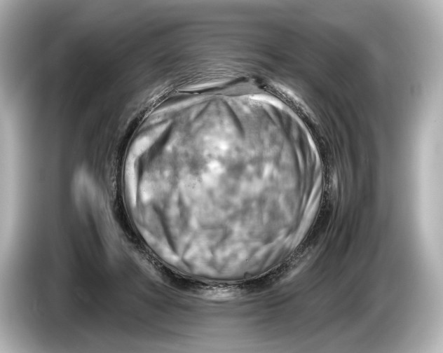 X0000085750402200704091319