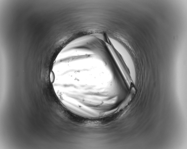 X0000085750403200704091319