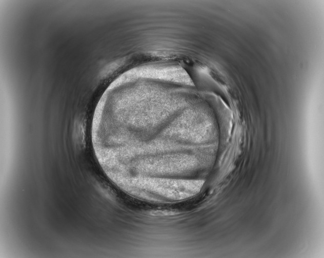 X0000085750404200704091319