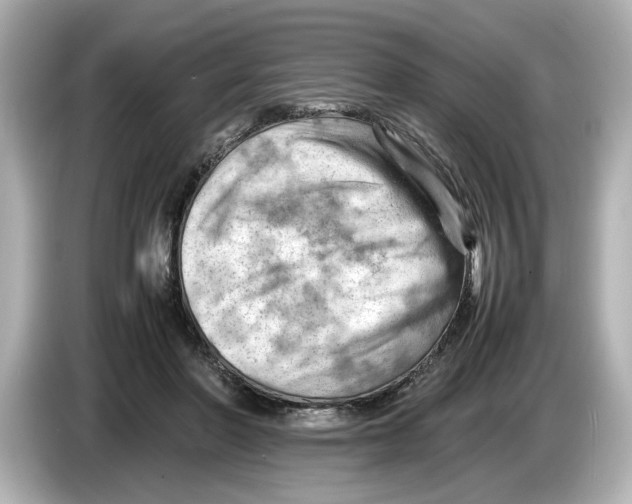 X0000085750406200704091319