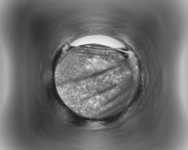 X0000085750407200704091319