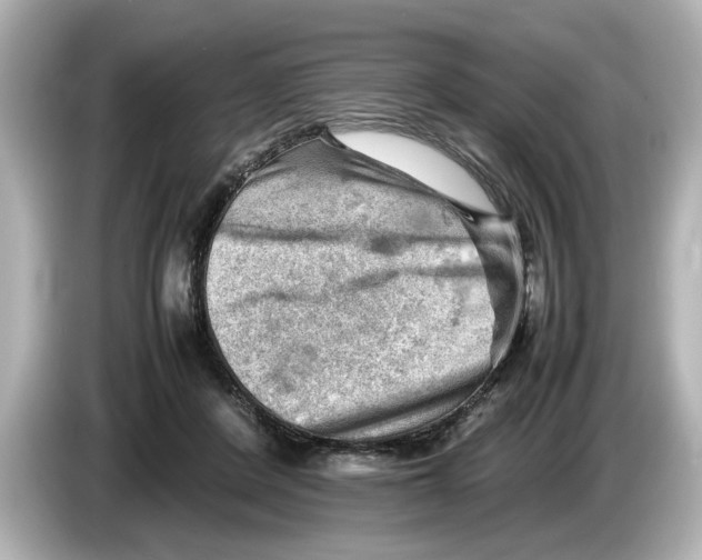 X0000085750408200704091319