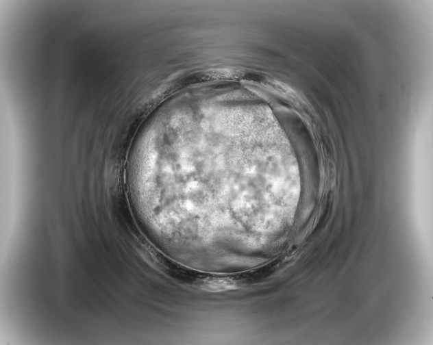 X0000085750409200704091319