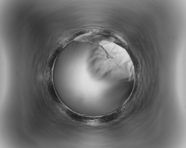 X0000085750411200704091319