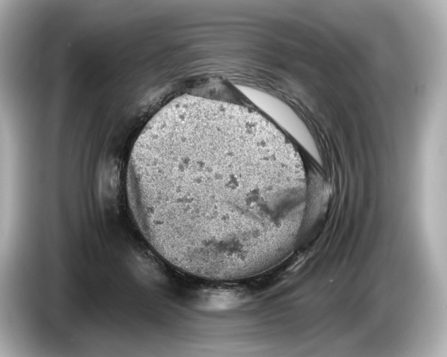 X0000085750412200704091319