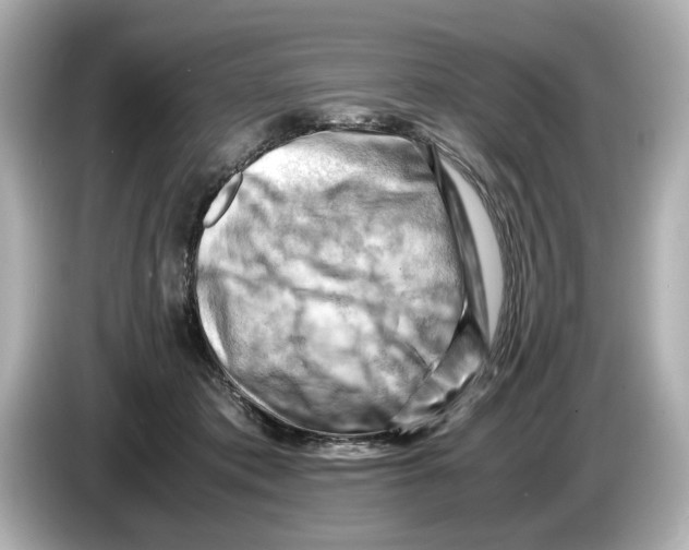 X0000085750413200704091319