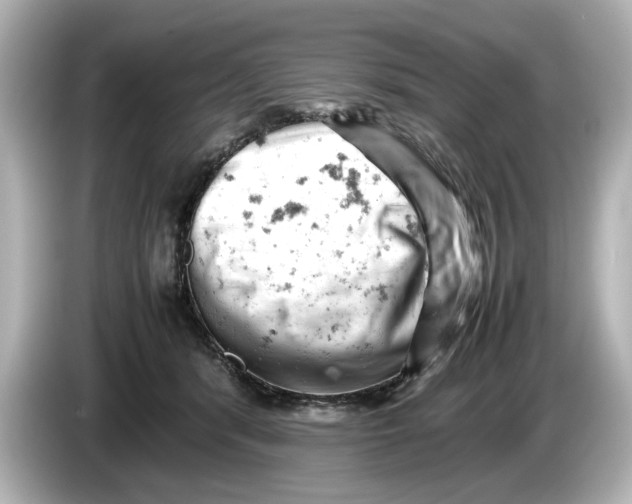 X0000085750416200704091319