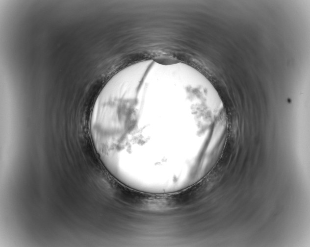 X0000085750418200704091319