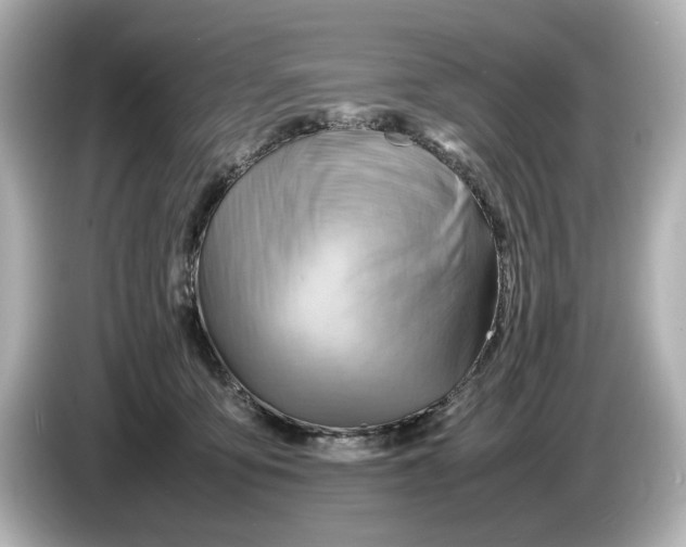 X0000085750419200704091319