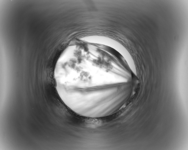 X0000085750421200704091319