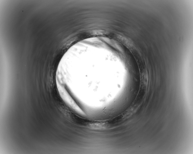 X0000085750422200704091319