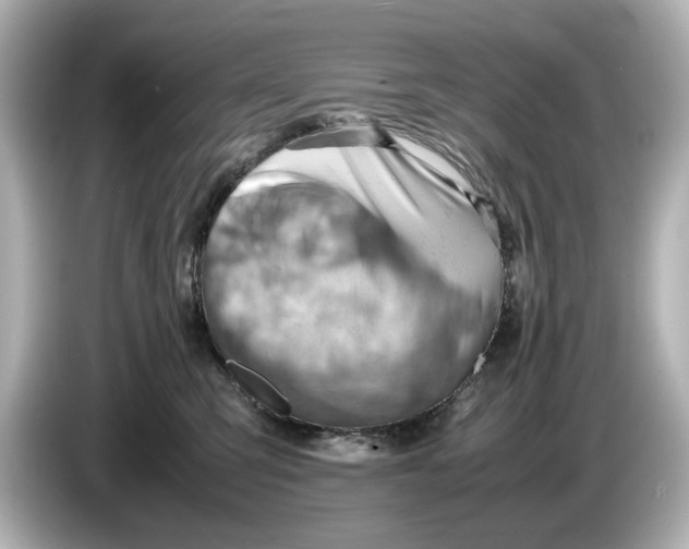 X0000085750423200704091319