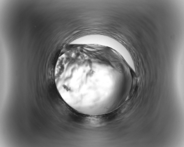 X0000085750425200704091319