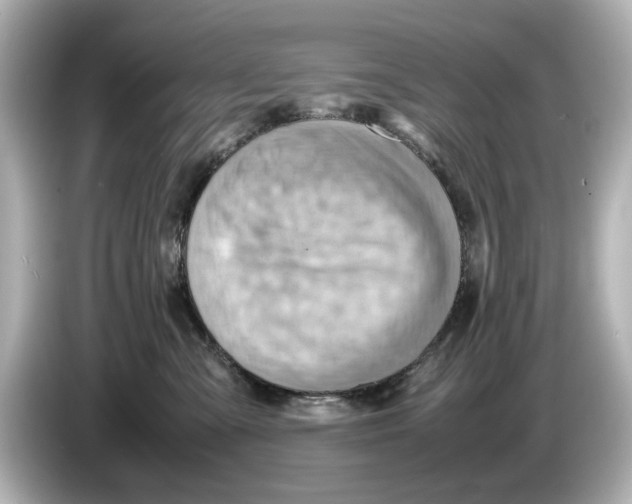 X0000085750427200704091319