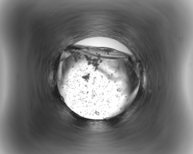 X0000085750428200704091319