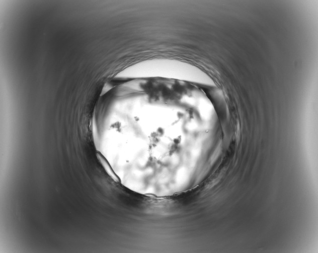 X0000085750429200704091319