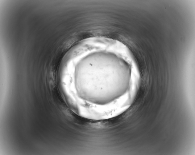 X0000085750430200704091319