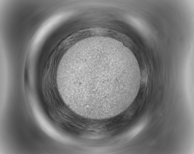 X0000085750431200704091319