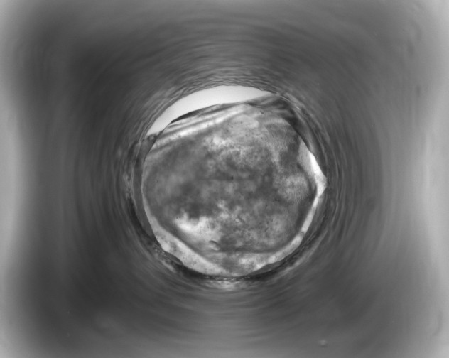 X0000085750432200704091319