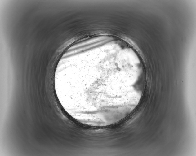 X0000085750433200704091319