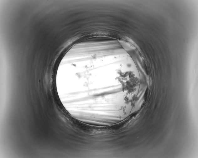 X0000085750435200704091319