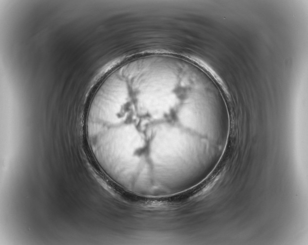 X0000085750437200704091319