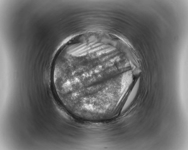 X0000085750438200704091319