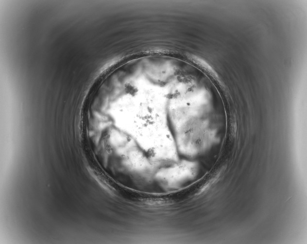 X0000085750439200704091319