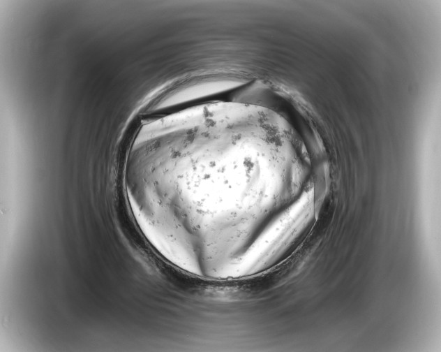 X0000085750440200704091319