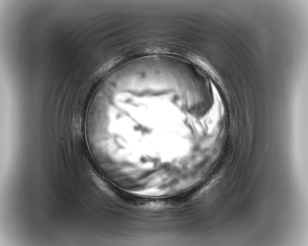 X0000085750441200704091319