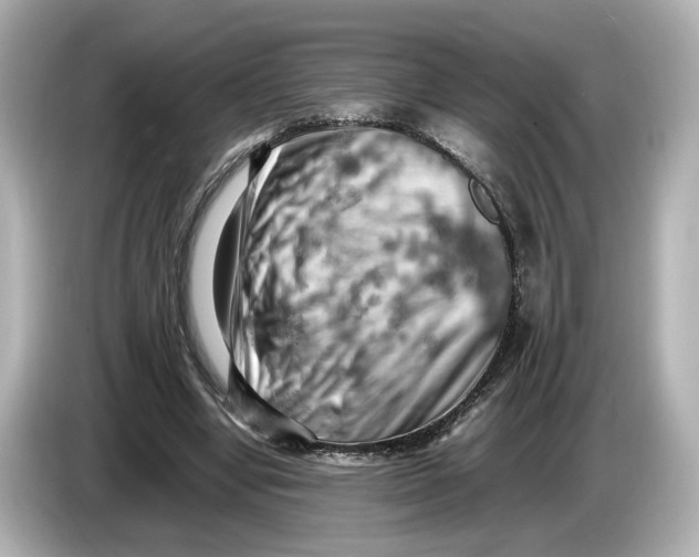 X0000085750442200704091319