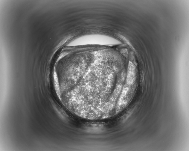 X0000085750443200704091319