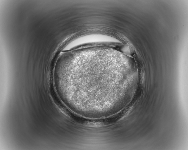 X0000085750444200704091319