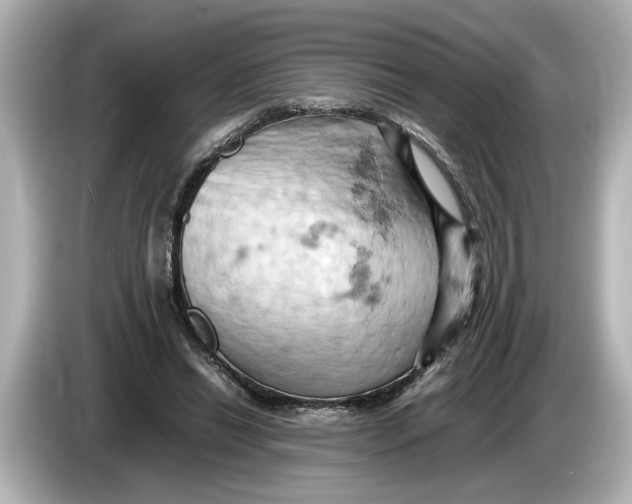 X0000085750446200704091319