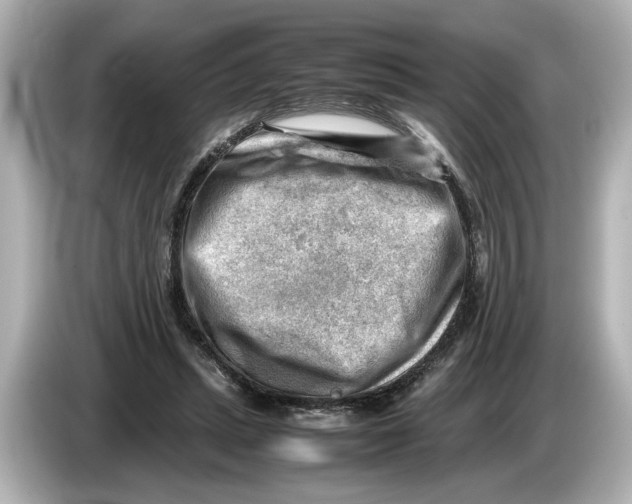 X0000085750447200704091319