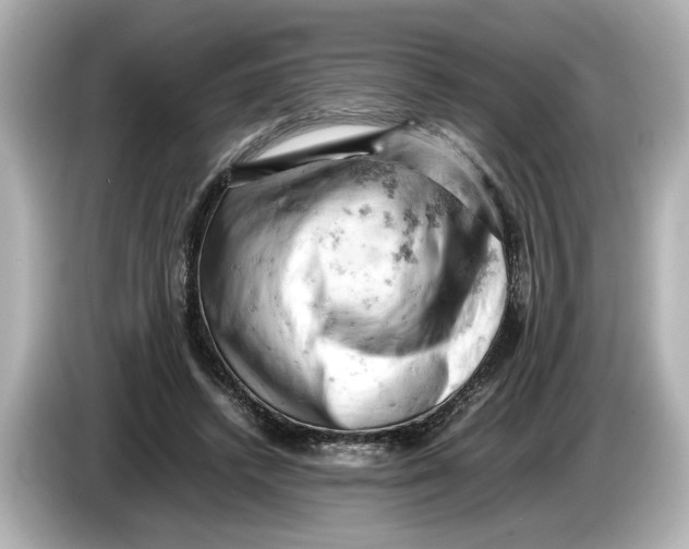 X0000085750448200704091319