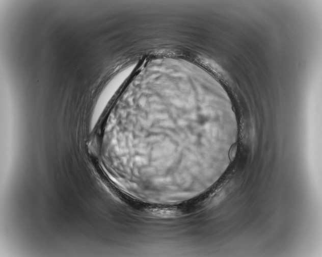 X0000085750449200704091319