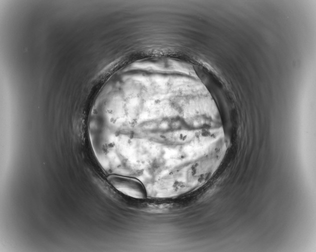 X0000085750450200704091319