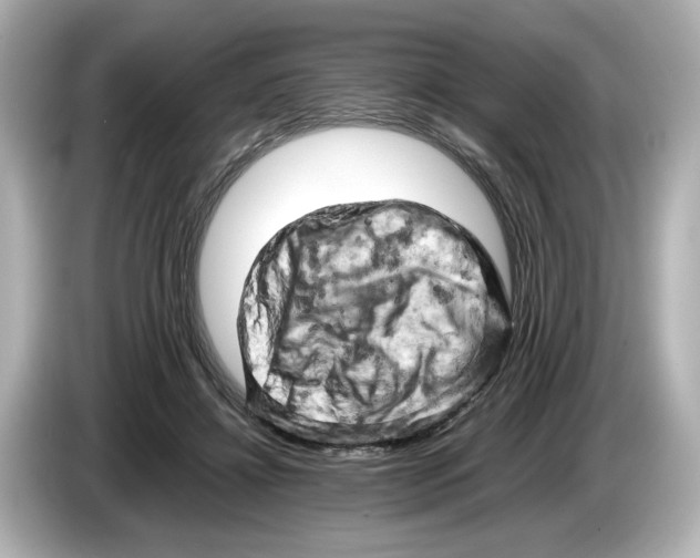 X0000085750452200704091319