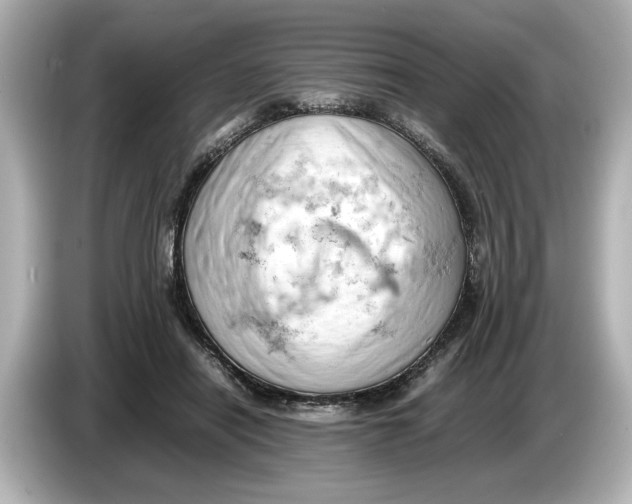 X0000085750454200704091319