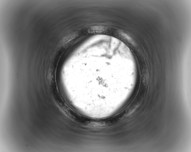 X0000085750455200704091319