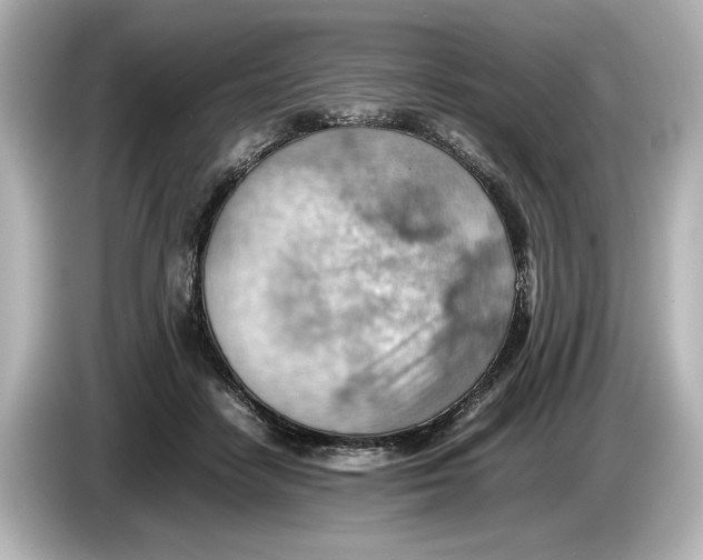 X0000085750458200704091319