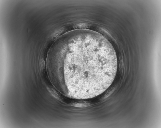 X0000085750459200704091319