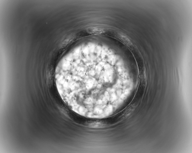 X0000085750460200704091319