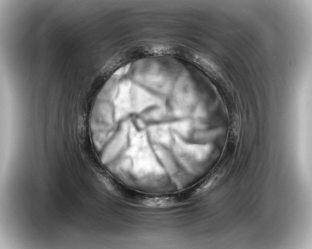 X0000085750461200704091319