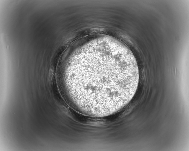 X0000085750463200704091319