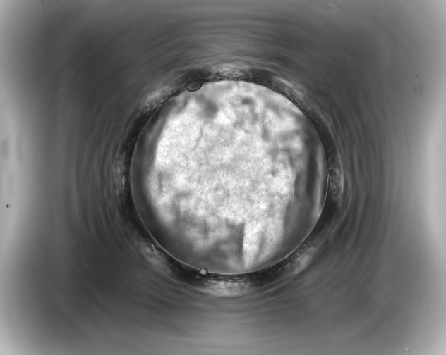 X0000085750466200704091319